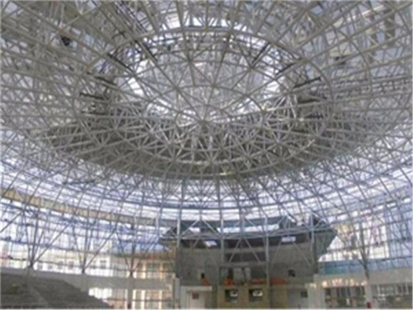 阜陽(yáng)臨沂倉(cāng)儲(chǔ)物流網(wǎng)架生產(chǎn)廠家案例